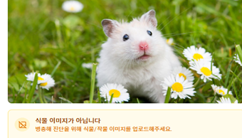 프로젝트 이미지 4